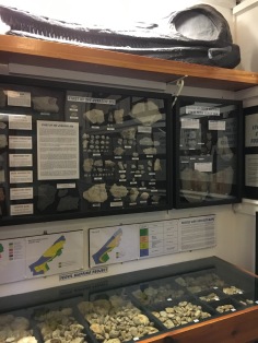 ... as were the displays of fossils ...